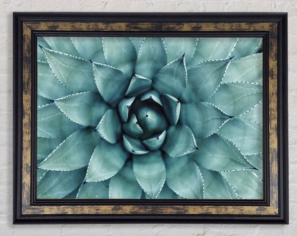 Green cool Zen plant Framed Print