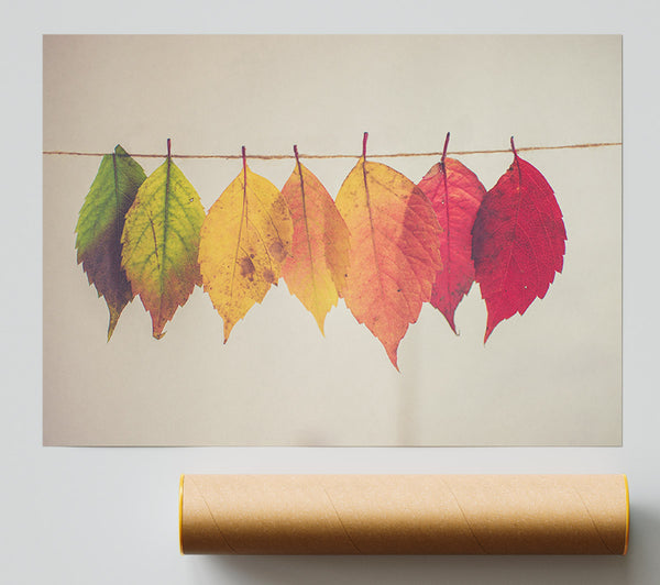 Summer To Spring Leaves Poster