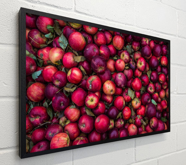Collection of apples