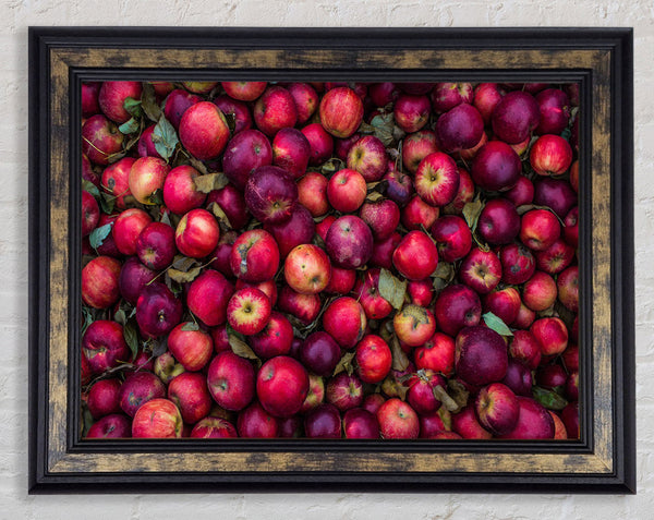 Collection of apples Framed Print