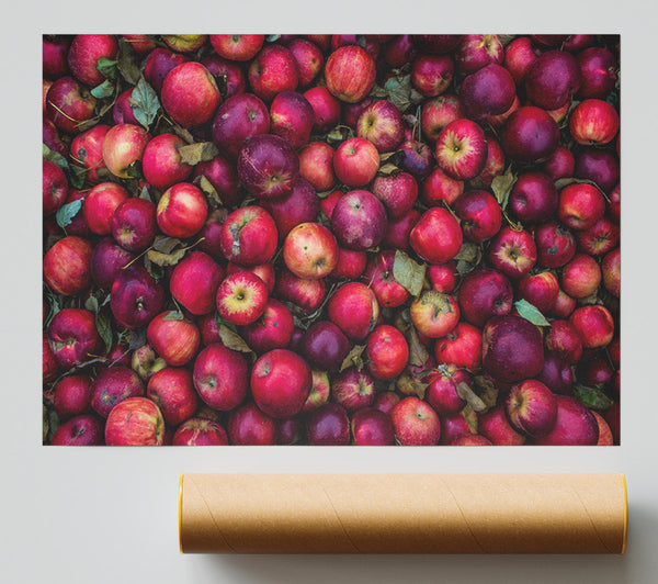 Collection Of Apples Giclee Print