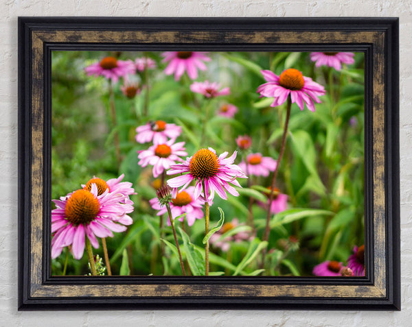 Pink flowers down below in the grass Framed Print