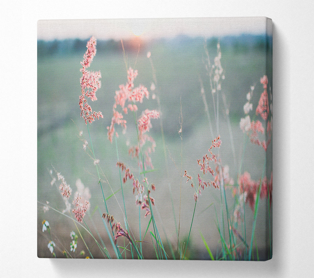  A Canvas Print of Peach coloured flowers in the morning meadow Canvas Art