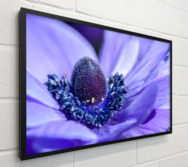 Purple flower inside detail