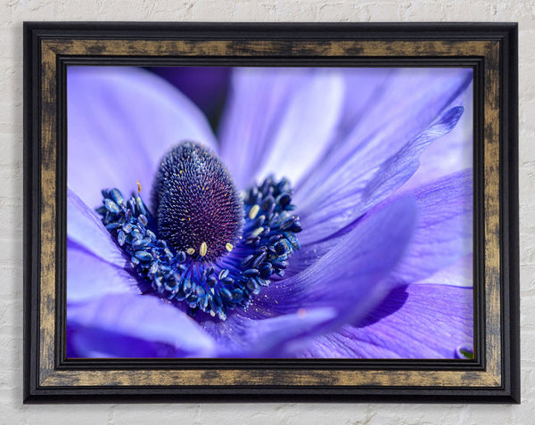 Purple flower inside detail Framed Print