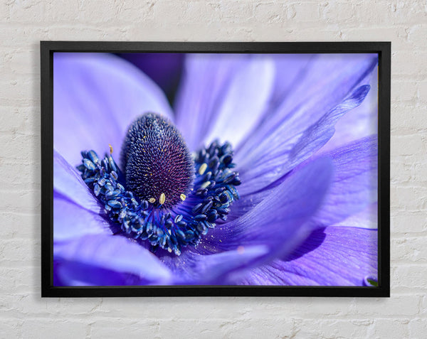 Lila Blume im Detail 