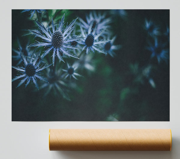 Spring Thistle Print