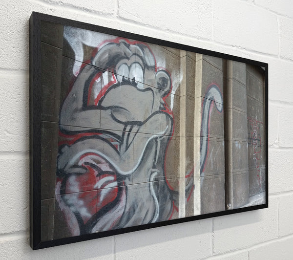 Monkey on the wall