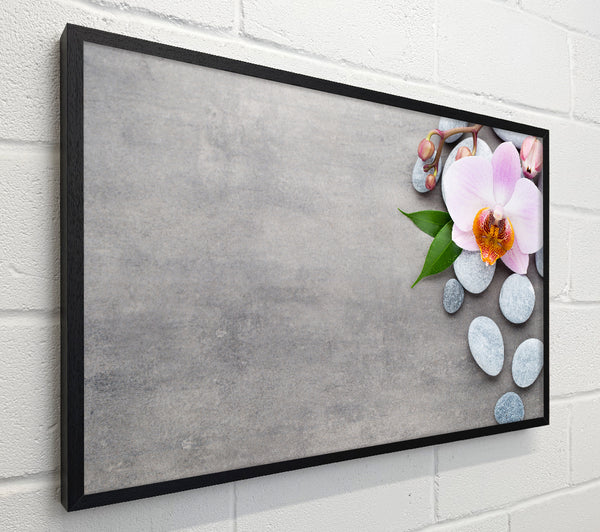 Orchid beauty zen stones