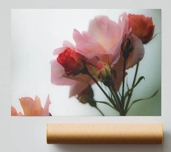 An Array Of Pink Flowers Giclee Print