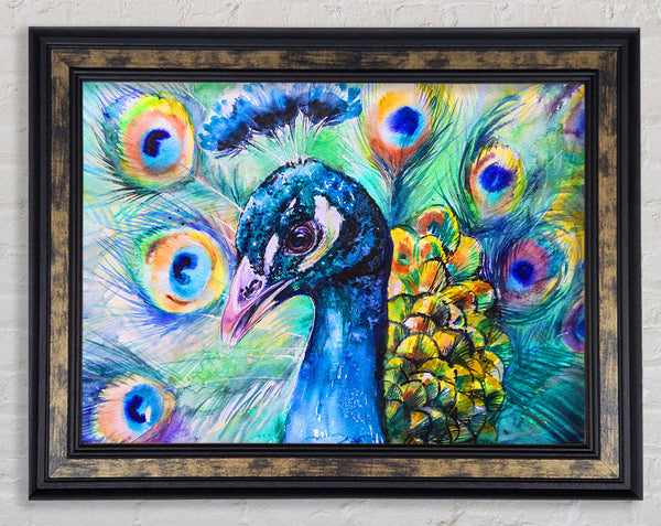 Vibrant Watercolour Peacock Framed Print