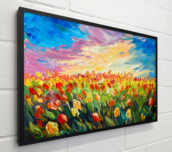 Field Of Stunning Tulips