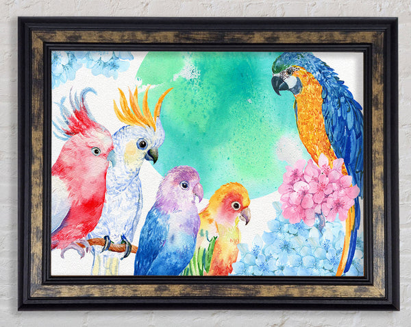 Array Of Watercolour Parrots Framed Print