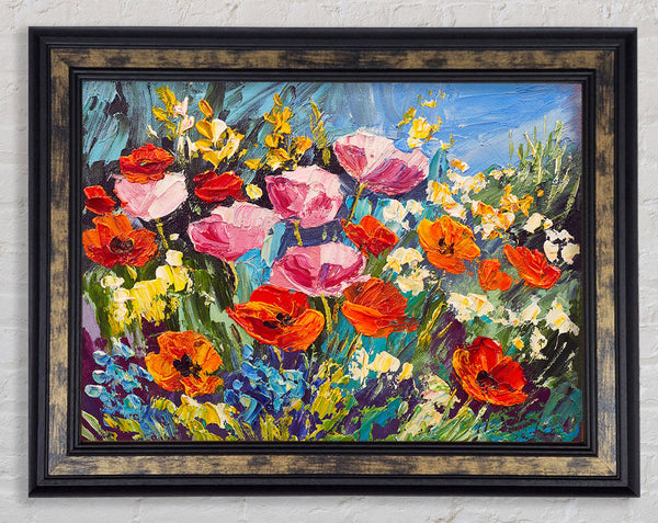 Mixed Poppies In The Sun Framed Print