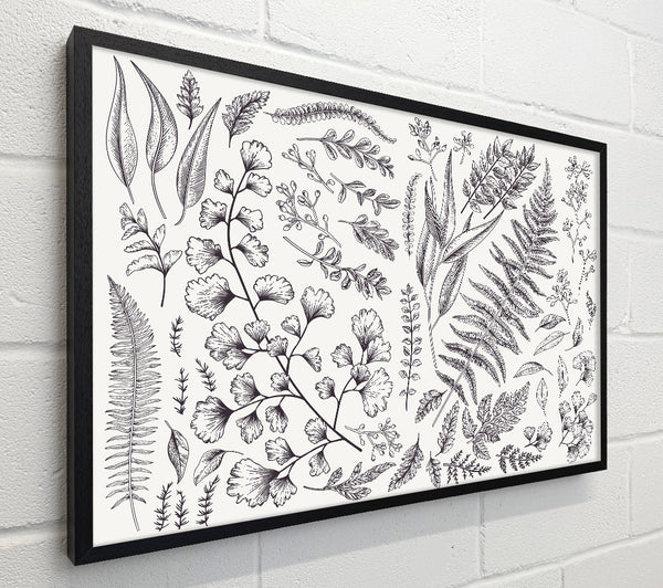 Natures Leaves Hand Drawn