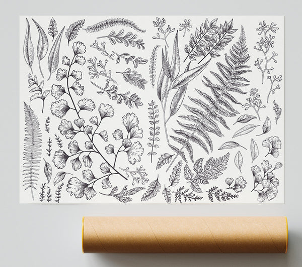 Natures Leaves Hand Drawn Print