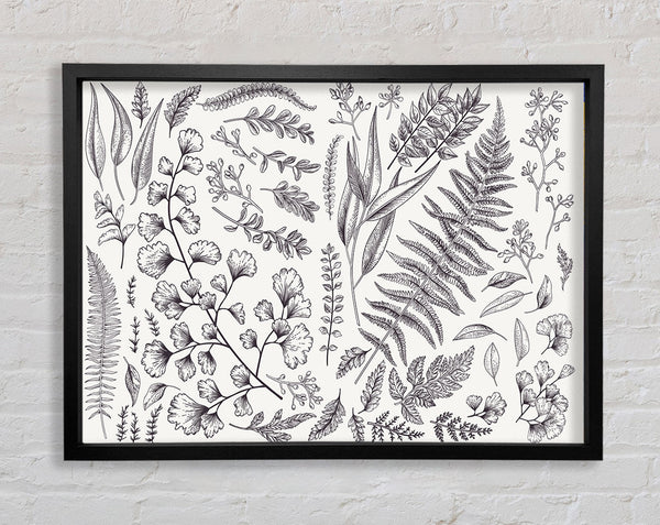 Natures Leaves Hand Drawn Framed Print