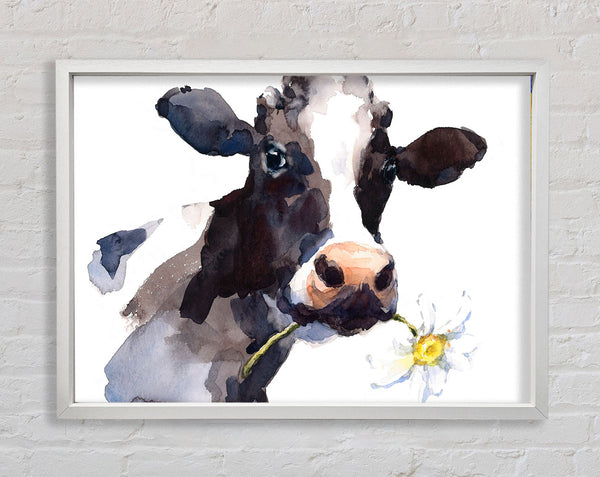 Daisy The Cow