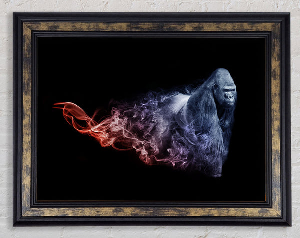 Smokey Gorilla Framed Print