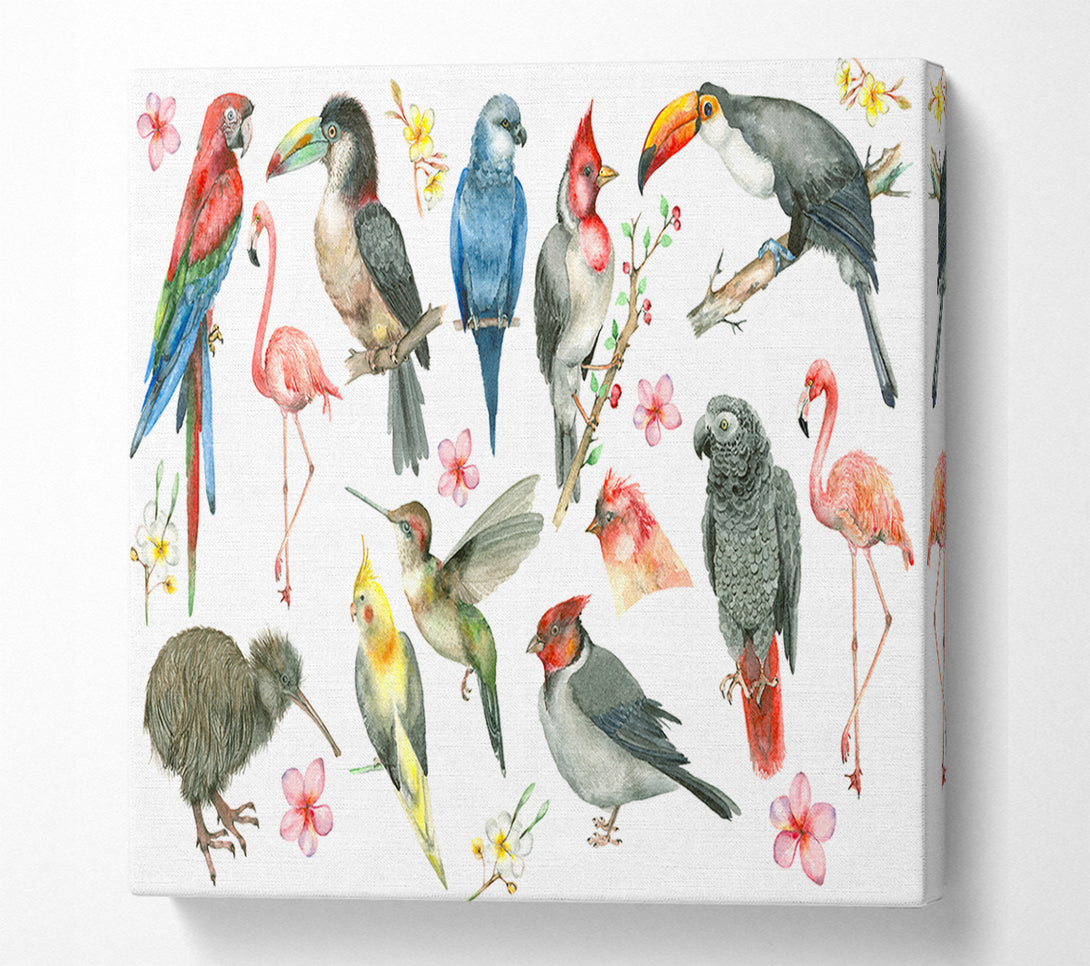  A Canvas Print of A Collage Of Birds Canvas Print
