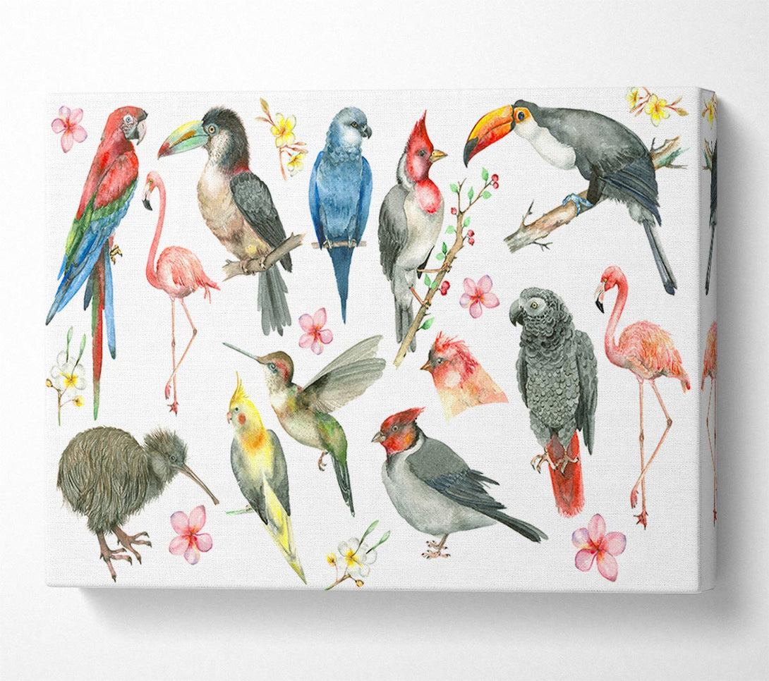  A Canvas Print of A Collage Of Birds Canvas Print