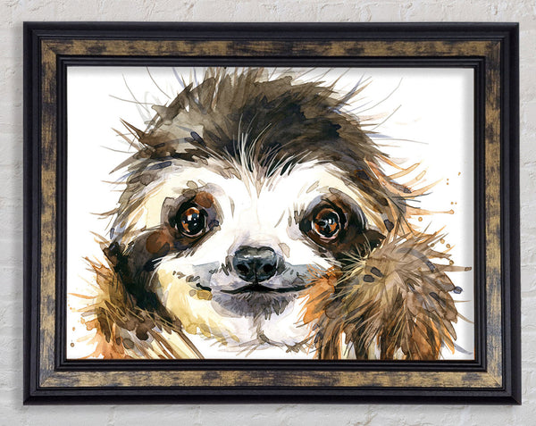 Water Colour Sloth Framed Print