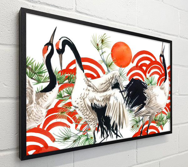 Japanese Stork