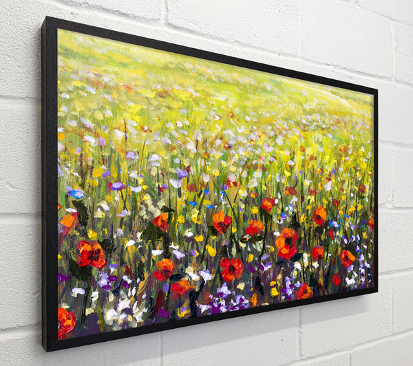 Poppy Field In The Summer
