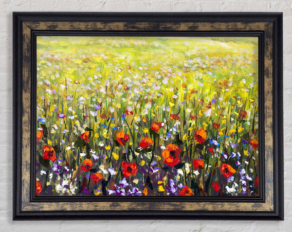 Poppy Field In The Summer Framed Print