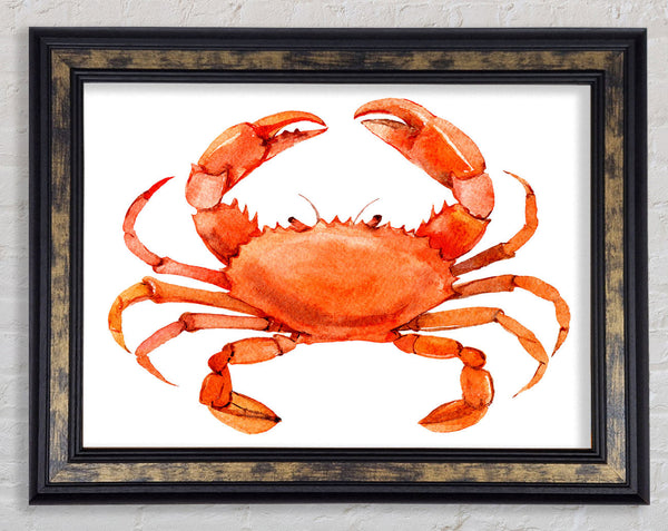 Watercolour Crab Framed Print