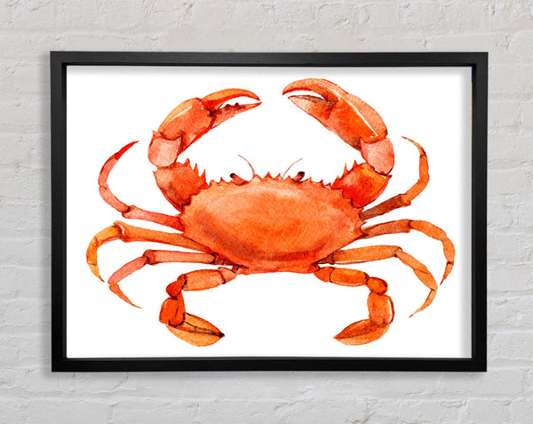 Watercolour Crab