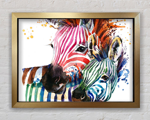 Buntes Regenbogenzebra