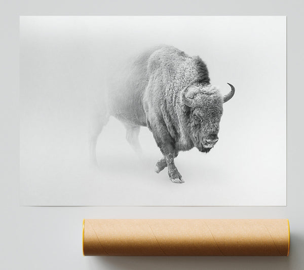 Bison In The Mist Giclee Print