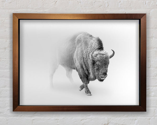 Bison In The Mist Framed Print
