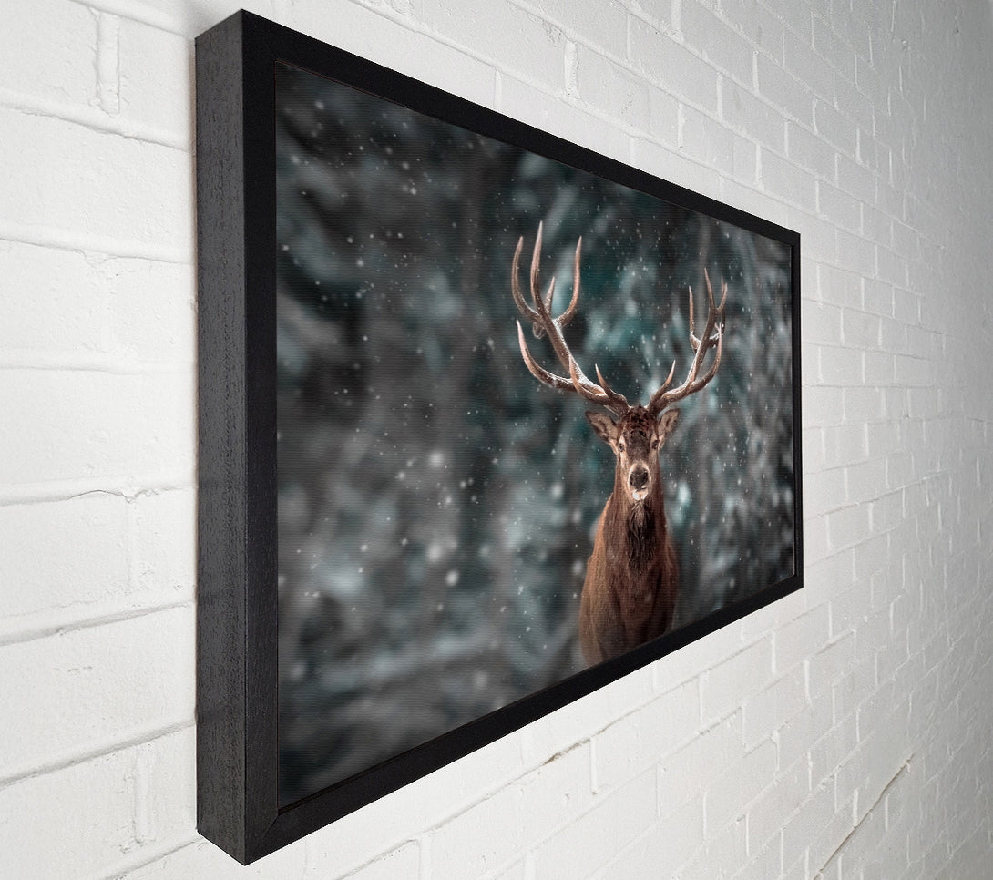  A Canvas Print of Stag In The Snow Canvas Wall Art