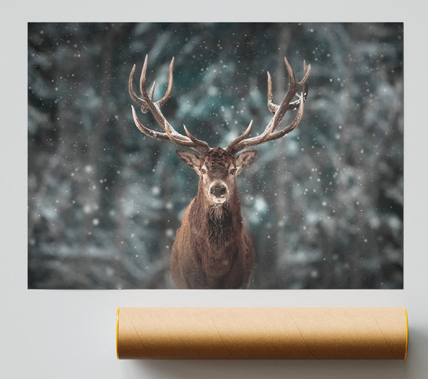 Stag In The Snow Giclee Print
