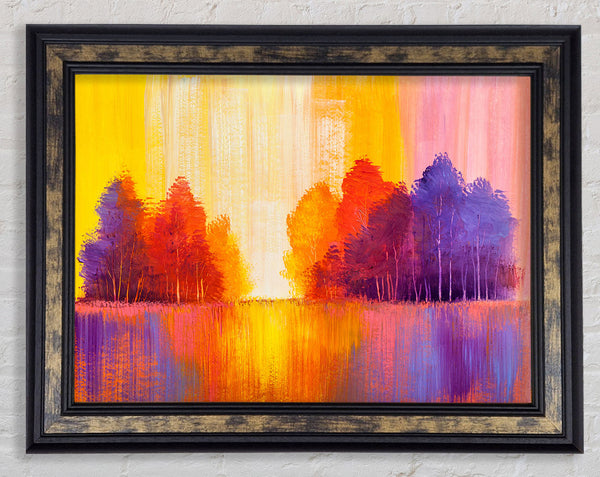 Streams Of Colour Forest Framed Print
