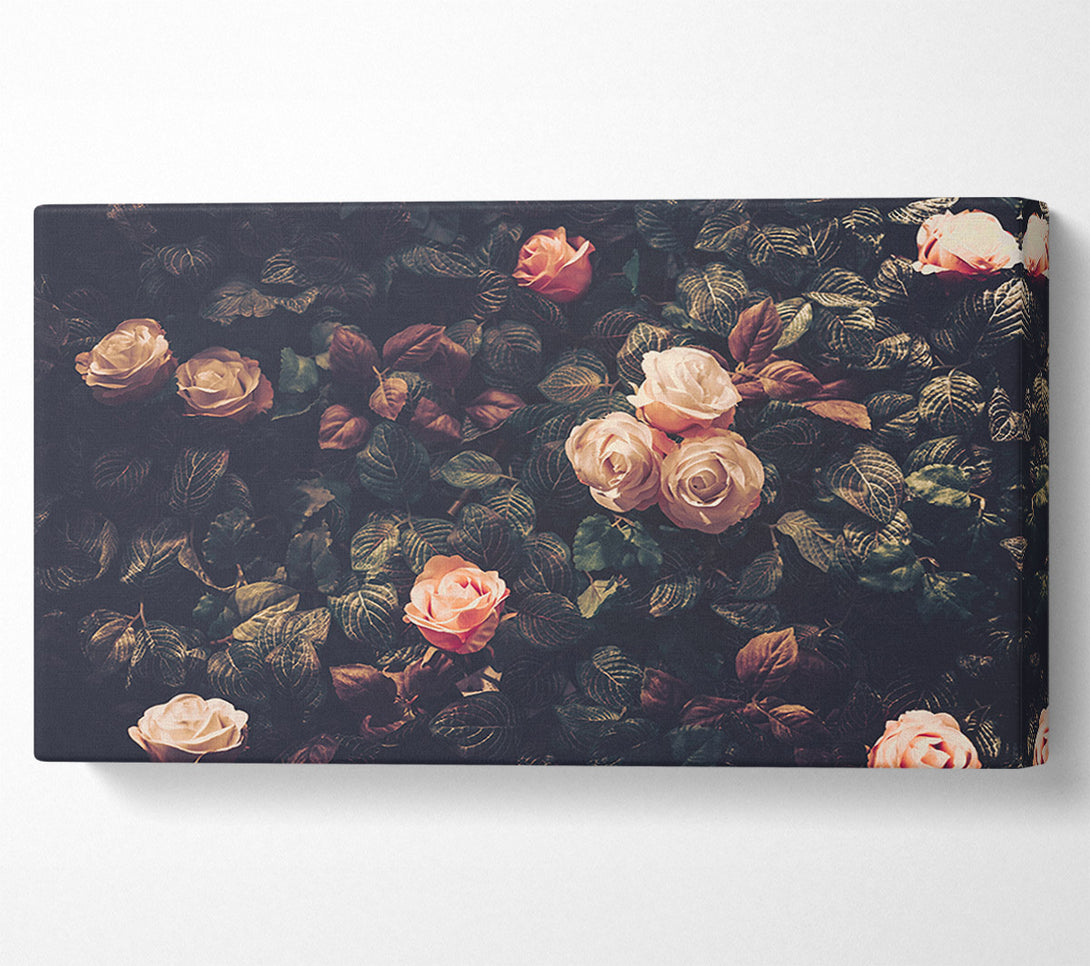  A Canvas Print of Pale Roses In Soft Greenery Canvas Wall Art