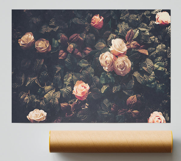 Pale Roses In Soft Greenery Giclee Print