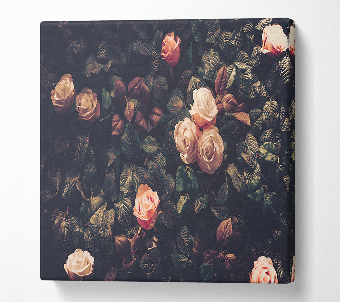  A Canvas Print of Pale Roses In Soft Greenery Canvas Wall Art