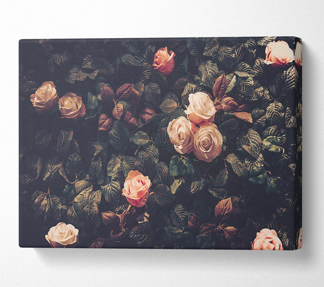  A Canvas Print of Pale Roses In Soft Greenery Canvas Wall Art