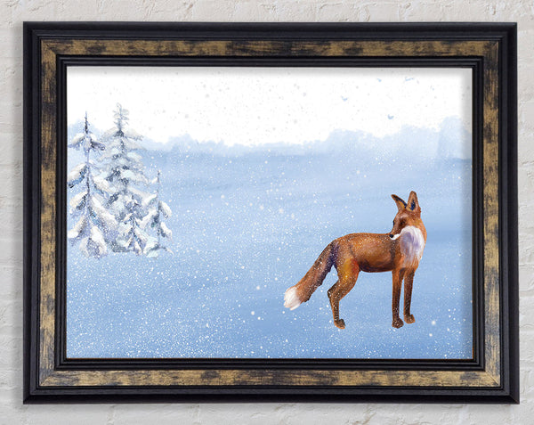 Fox In The Delicate Snow