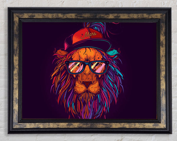 Lion Sunglasses Framed Print