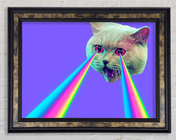 Cat Lazer Beam