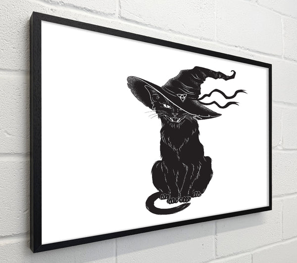 Black Cat Witches Hat