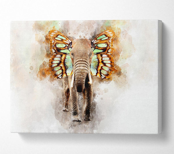 A Canvas Print of Elephant Butterfly Ears Canvas Art