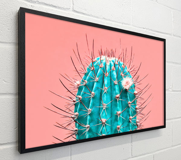 Teal Cactus