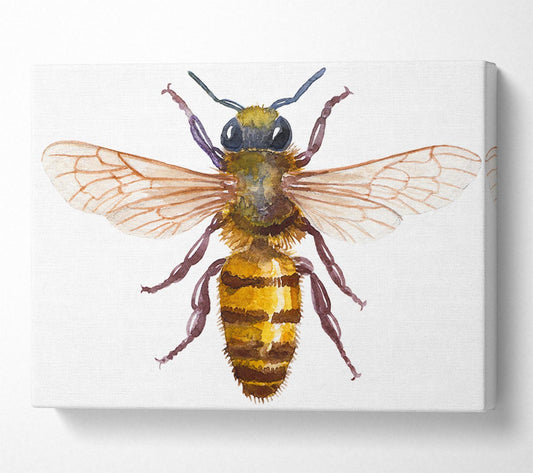 Watercolour Bee Canvas Wall Art