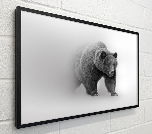 Bear In The Mist