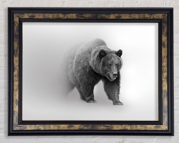 Bear In The Mist Framed Print